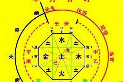 鐵掃把八字 喜用神金